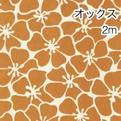 ラスト3点 2m お花 オレンジ オックス