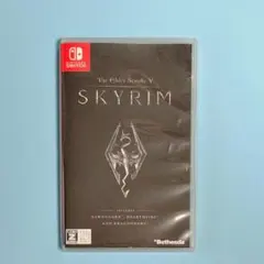 The Elder Scrolls V:Skyrim (Switch)スカイリム