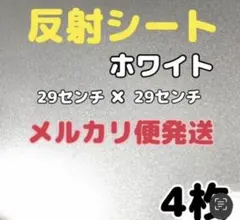 Item thumbnail for item a17e473f-bff8-44a1-9cbe-ec913f3ad6f6