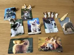 犬　フィギュア　ミニチュア　カード