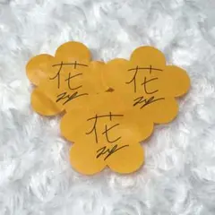 ENHYPEN FATE+ IN JAPAN ジェイ オレンジフラワー