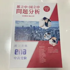 Item thumbnail for item 6398bbad-2f84-42f5-a9f4-4977266dd568