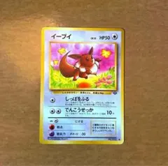 イーブイ ● 第2弾拡張パック ポケモンジャングル