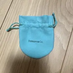 Item thumbnail for item aac8a054-f6d9-45cf-8dc9-01641ecf72ec