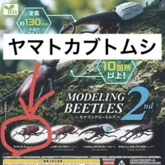 モデリングビートルズ　ヤマトカブトムシ　フィギュア