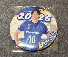 2026年最新】大阪ブルテオン 山内晶大の人気アイテム - メルカリ