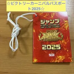 ジャンプビクトリーカーニバル 2025 限定 缶バッジ 3種✖️10 30枚 ジャンプビクトリーカーニバル 2025 限定 缶バッジ 3種✖️10 30