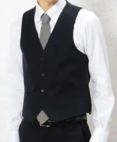 【ユナイテッドアローズ】ラルスミアーニ LARUSMIANI SOLID ベスト