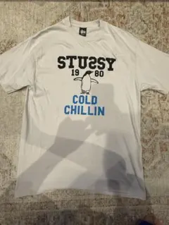 STUSSY 1980 COLD CHILLIN Tシャツのサムネイル