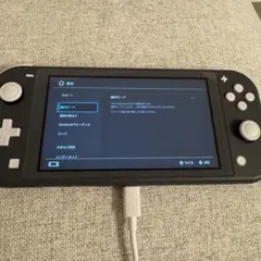 NintendoSwitch Lite 本体 グレー 動作確認済み美品 任天堂