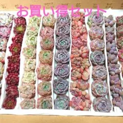 もるみ様 リクエスト 2点 まとめ商品