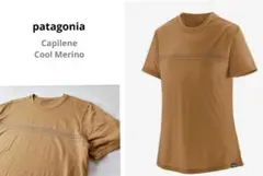 Patagonia　キャプリーン　クールメリノ　グラフィック　人気　Tシャツ
