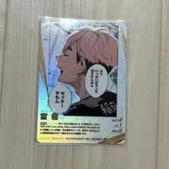 ハイキュー!! バボカ　宮侑　頂P