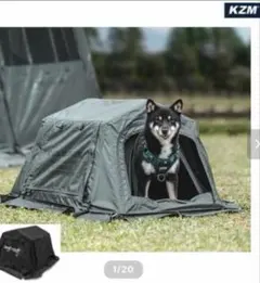 Item thumbnail for item bffdd6b5-9c91-49d3-854a-182e26be1e83