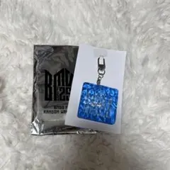 BMSG FES'25 ランダムウェーブキーリング SOTA ソウタ