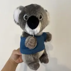 koala コアラ ぬいぐるみ