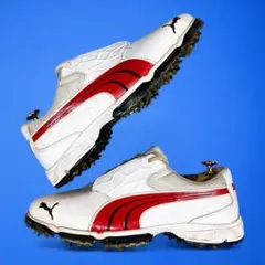 新品未使用！プーマツアーモデルゴルフシューズ　26cm 楽天市場】プーマ（PUMA）（メンズ） ゴルフシューズ 3E スパイク