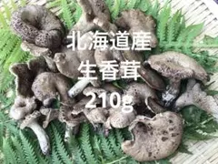 2025年最新】天然香茸の人気アイテム - メルカリ