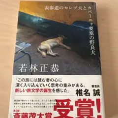 表参道のセレブ犬とカバーニャ要塞の野良犬