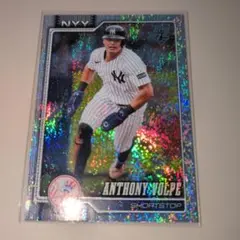 2026年最新】anthony volpeの人気アイテム - メルカリ