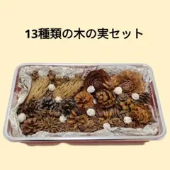 13種類の木の実セット