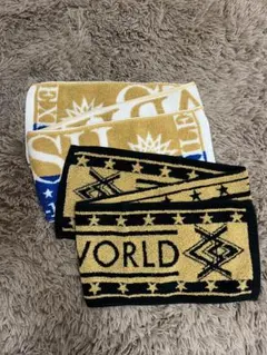 EXILE ライブツアータオル 2枚セット LDH