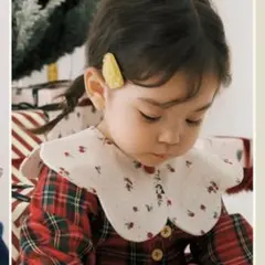 コニー　スタイ　ホリデーコレクション2025