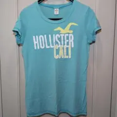 Hollister 半袖 Tシャツ ライトブルー Lサイズのサムネイル