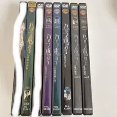 大人気❤️吹き替え付きハリーポッター全巻とフアンタビ三作品 大人気❤️吹き替え付きハリーポッター全巻とフアンタビ三作品