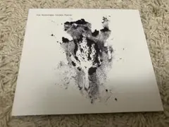 【輸入盤CD】 Telescopes/Hidden Fields