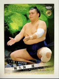 Item thumbnail for item 77d7d233-96a6-4163-8d91-ea7a382e087e