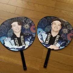 Item thumbnail for item af555939-3ae8-49bc-b4f5-42f2103cc9ed