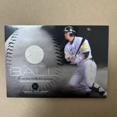 Item thumbnail for item 43a632a6-7957-41d8-aade-8a8893e4f047