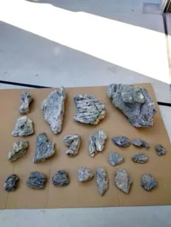 ADA龍王石 竜王石　セット　良型　大　小 ADA 龍王石 セット ADA 龍王石 セット