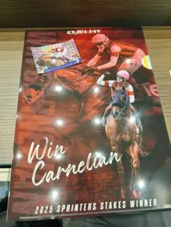 ウインカーネリアン ステッカー クリアファイル