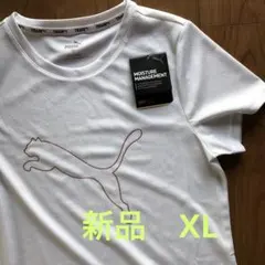 スポーツＴシャツ　XL