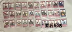 幻想水滸伝　カードストーリーズ　リーダー＋総大将キャラ30枚まとめ売り