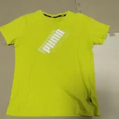 PUMA 蛍光イエロー Tシャツ