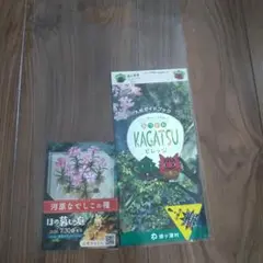 東京ゲームショウ ほの暮らしの庭　ノベルティ
