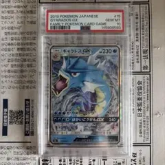 ギャラドスGX SML サン＆ムーン ファミリーポケモンカードゲーム PSA10