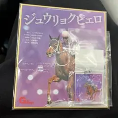 ジュウリョクピエロ×今村聖奈 色紙 アンブレラマーカー - メルカリ