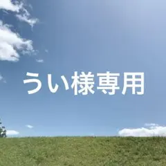うい様専用商品260126a2
