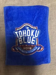 B3サイズr5m22-4 羽生結弦 バナー ファンタジーオンアイス 羽生結弦さんがAERAの表紙に登場 「ファンタジー・オン・アイス2024