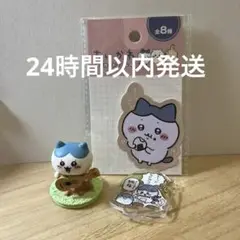 ハチワレ セット
