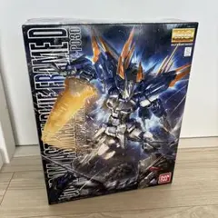 2026年最新】MG 1/100 ガンダムアストレイブルーフレームDの人気
