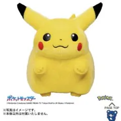 おかえり！ピカチュウ1/1 ぬいぐるみ ポケモン30周年 ポケットモンスター