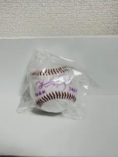 2025年最新】乃木坂 サインボールの人気アイテム - メルカリ