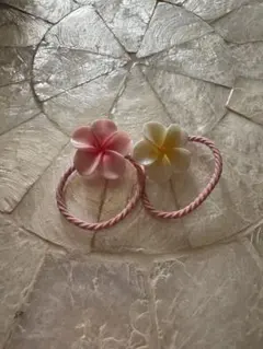 りっちゃん様専用