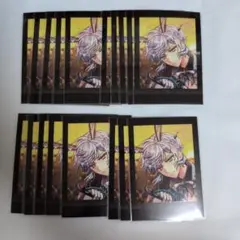 あくねこ フルーレ ぱしゃこれ