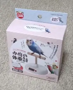 Item thumbnail for item 010cfef1-8b34-4b60-8e85-badf2c1b7f64